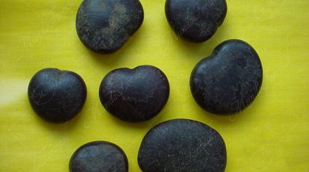 lignina lignina
