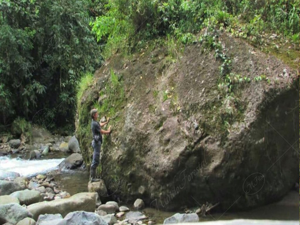 Piedras en río Gato