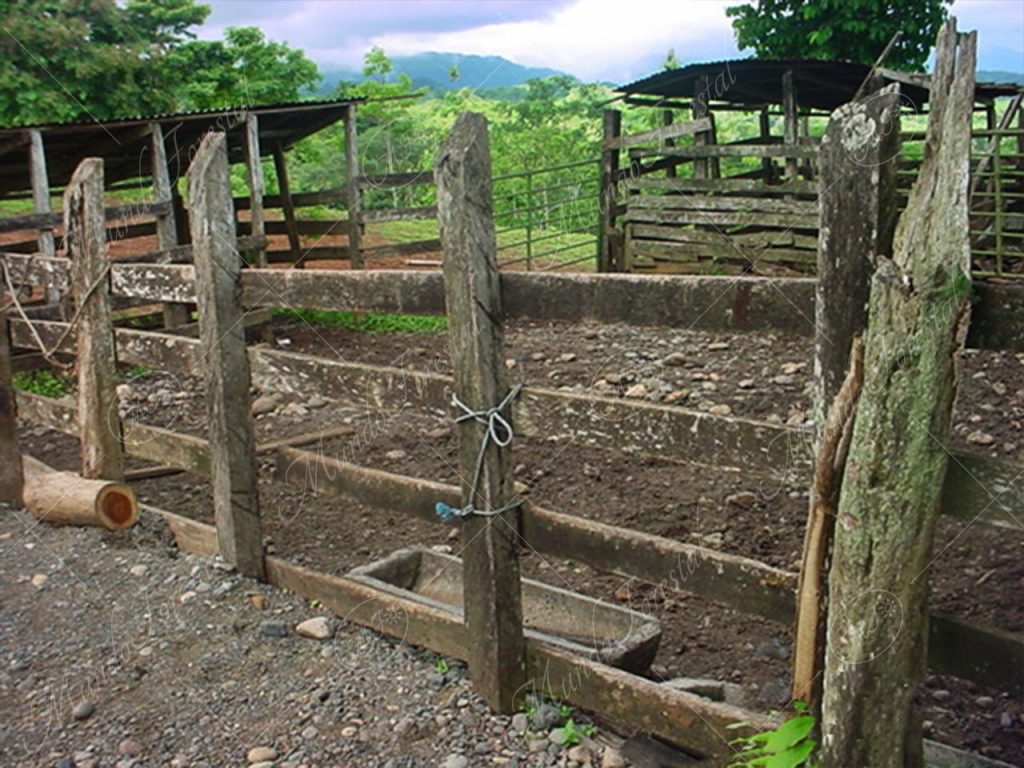 Los corrales, asesinos de las duras