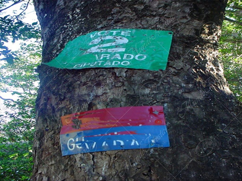 Los dañinos rótulos