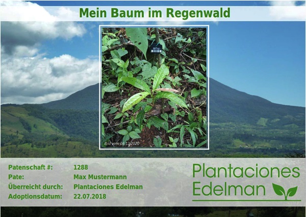 Plantaciones Edelman