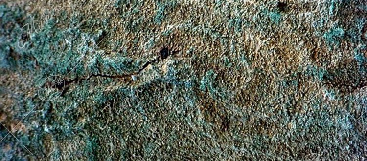 Petroglifos del mora -Chlorophora tinctoria -