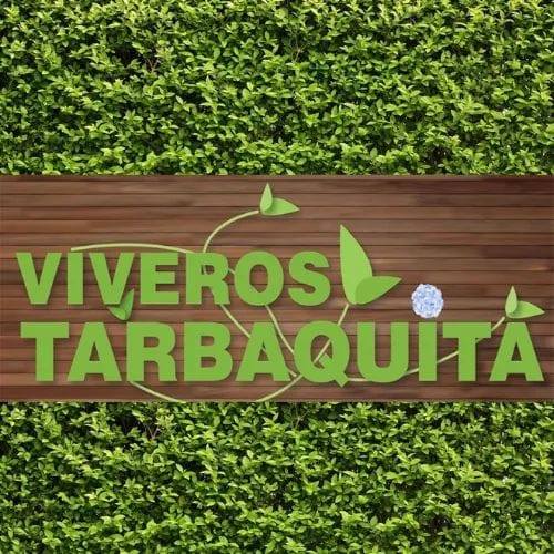 Viveros Tarbaquita