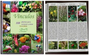 Vínculos: 108 plantas para conocer y amar - versión folleto