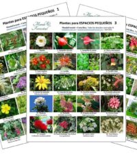 Láminas de especies para espacios pequeños
