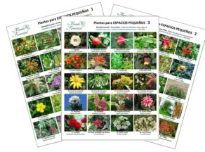 Láminas de especies para espacios pequeños