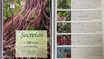 Secretos de 110 árboles en Costa Rica