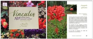 Vínculos: 101 plantas para conocer y amar
