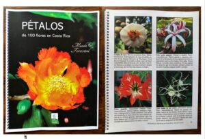 Pétalos de 100 flores en Costa Rica