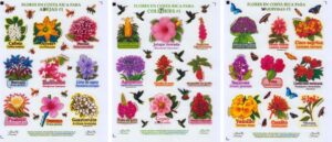 Colección de stickers