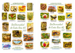 biodiversidad.juntas Bio-Diversidad