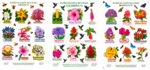 stickers abejas.colibries.mariposas Colección de stickers abejas.colibries.mariposas