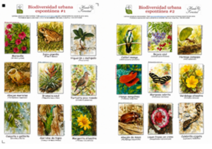 urbana.juntas Biodiversidad urbana